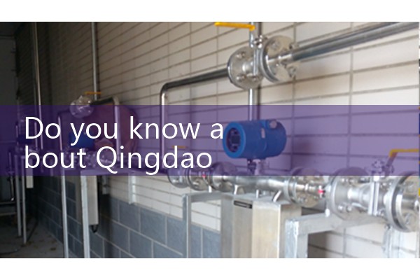 Manufacturer of flow meters